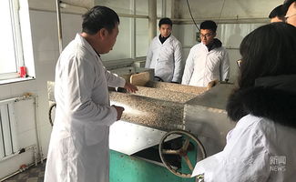 返鄉創業、貢獻家鄉 小食品生產線塑造社會責任感的實踐與思考