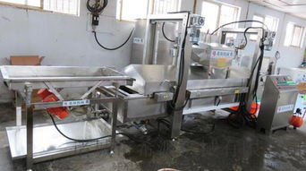 希源T2小麻花油炸生產線 多年信譽鑄就食品包裝機械信賴之選